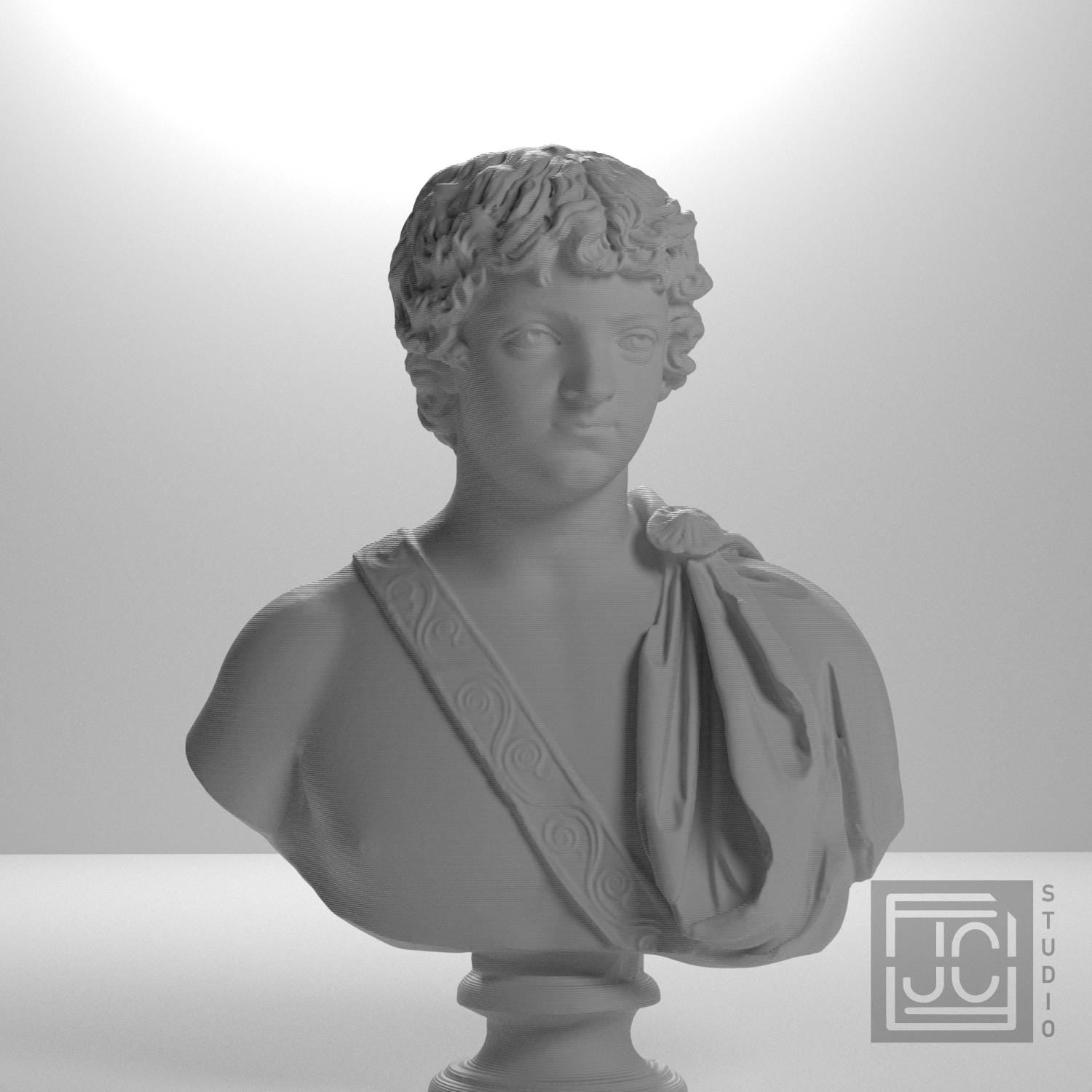 Portrait of Caracalla as a young man supplemental reference photo 5
