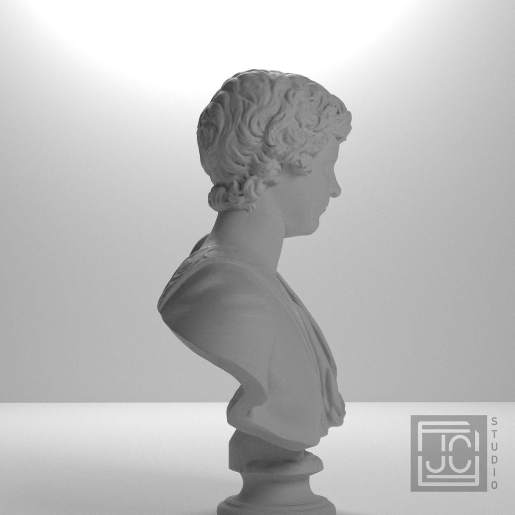Portrait of Caracalla as a young man supplemental reference photo 7