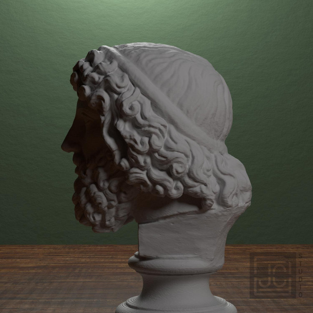 Bearded Deity Zeus supplemental reference photo 4
