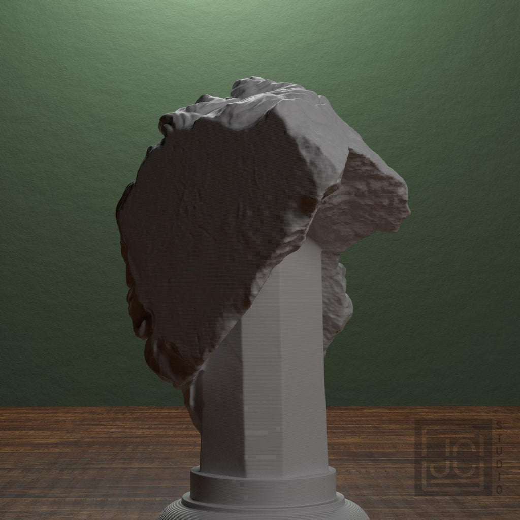 Head of a Giant supplemental reference photo 3