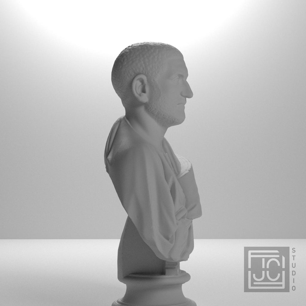Bust of a man (Gordianus Africanus?) supplemental reference photo 7