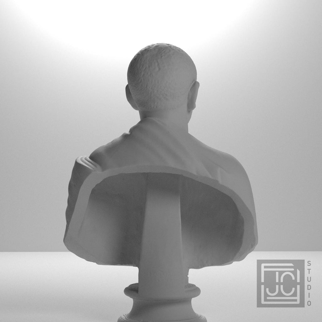 Bust of a man (Gordianus Africanus?) supplemental reference photo 9