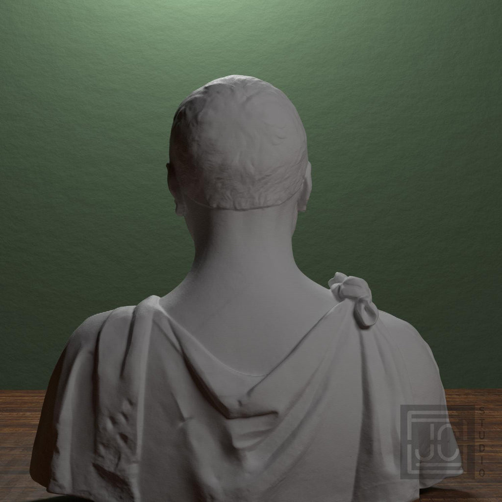 Bust of Francesco di Tommaso Sassetti supplemental reference photo 3