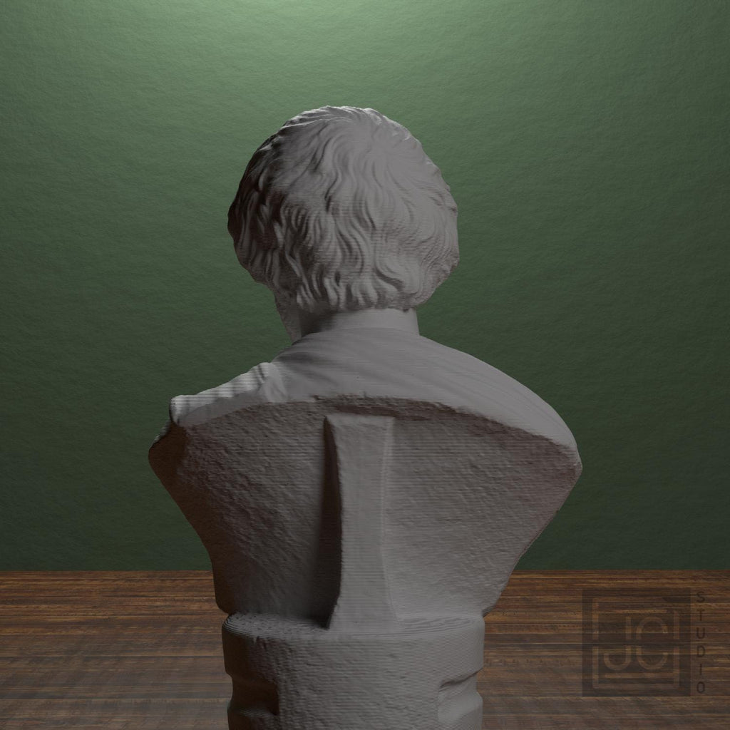 Portrait bust of a Barbarian supplemental reference photo 3