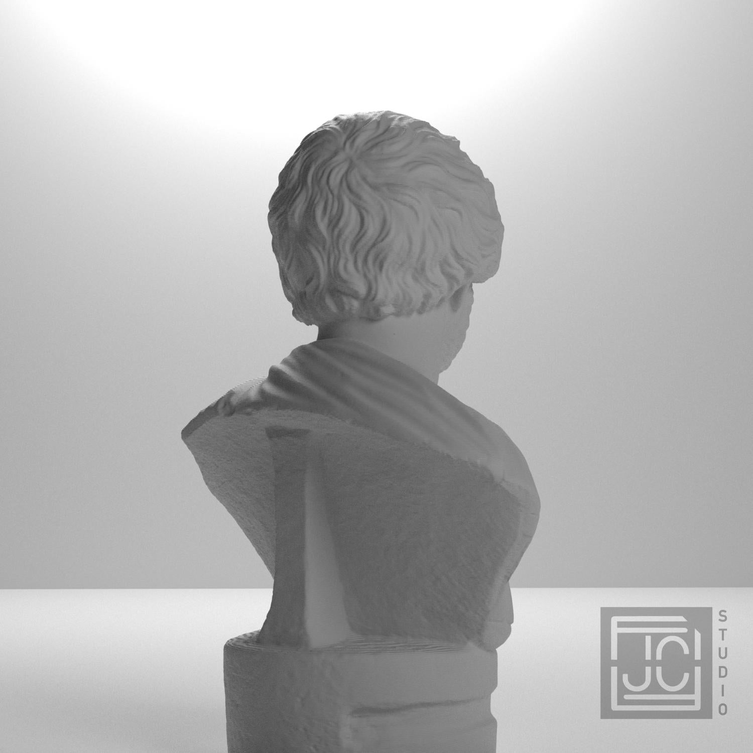 Portrait bust of a Barbarian supplemental reference photo 8