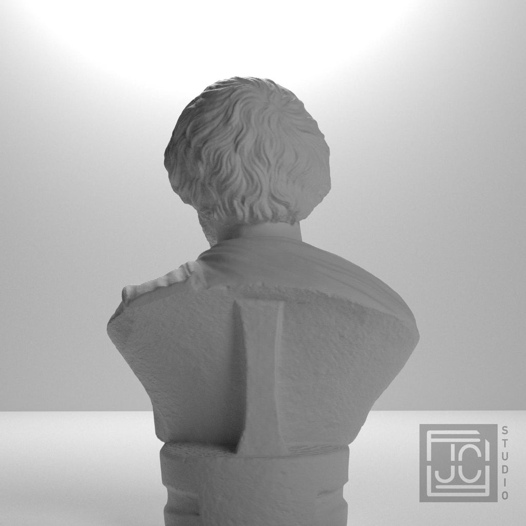 Portrait bust of a Barbarian supplemental reference photo 9