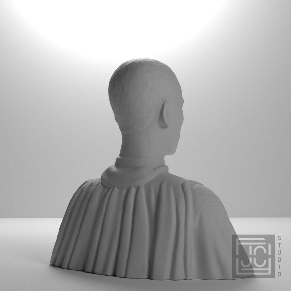 Filippo Strozzi supplemental reference photo 8