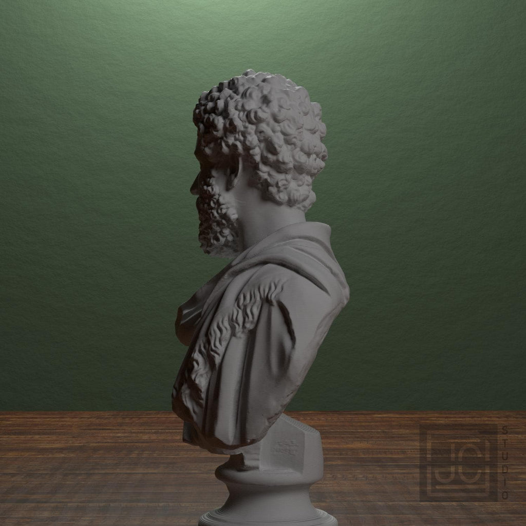 Draped bust of a man formerly known as Clodius Albinus supplemental reference photo 4
