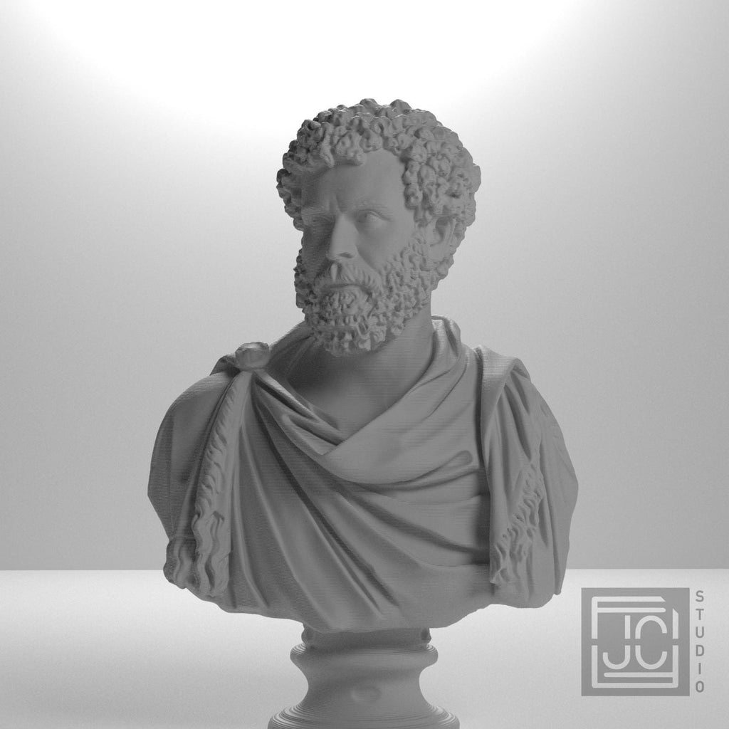 Draped bust of a man formerly known as Clodius Albinus supplemental reference photo 5