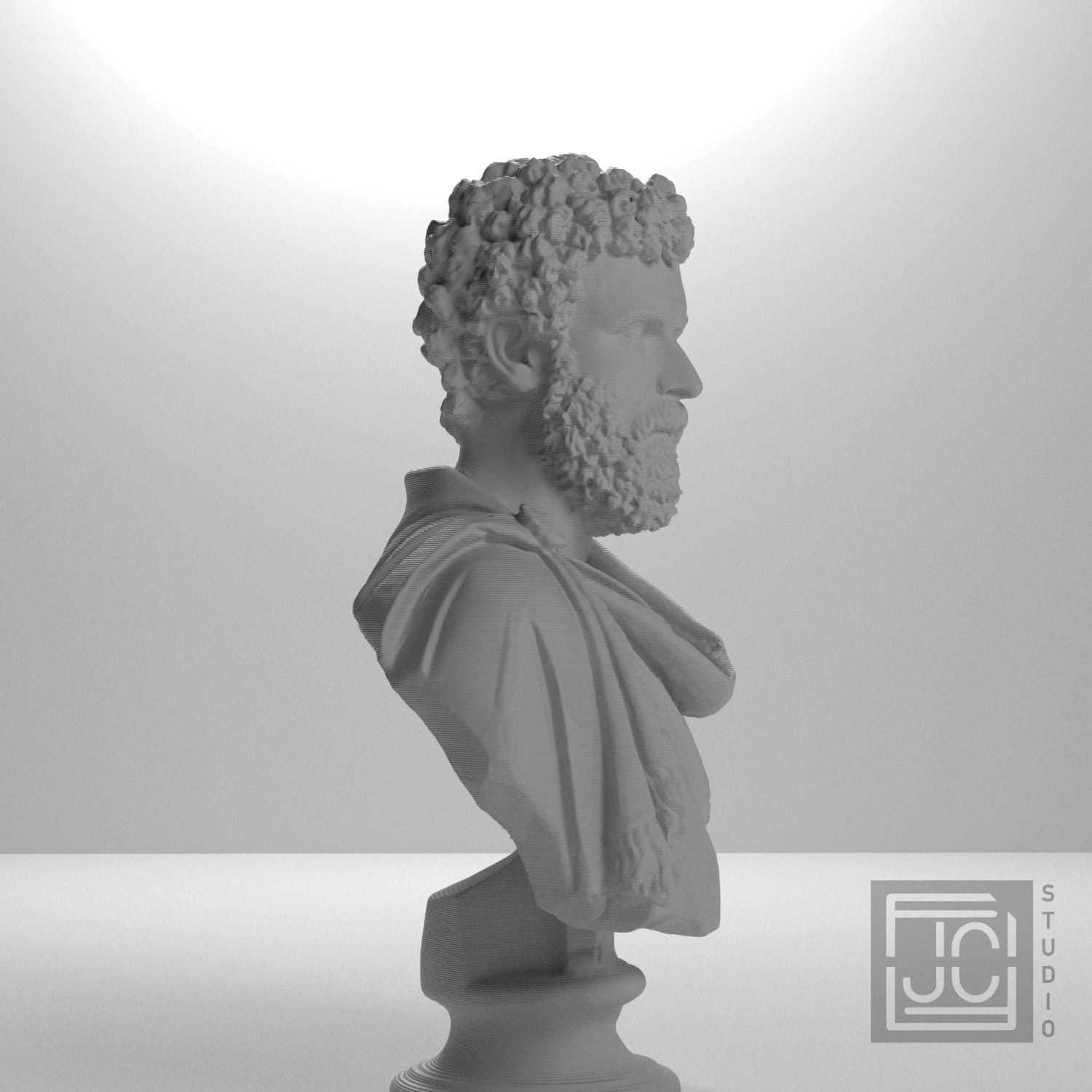 Draped bust of a man formerly known as Clodius Albinus supplemental reference photo 7