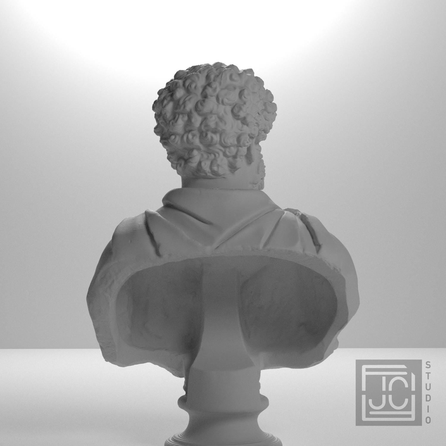 Draped bust of a man formerly known as Clodius Albinus supplemental reference photo 9