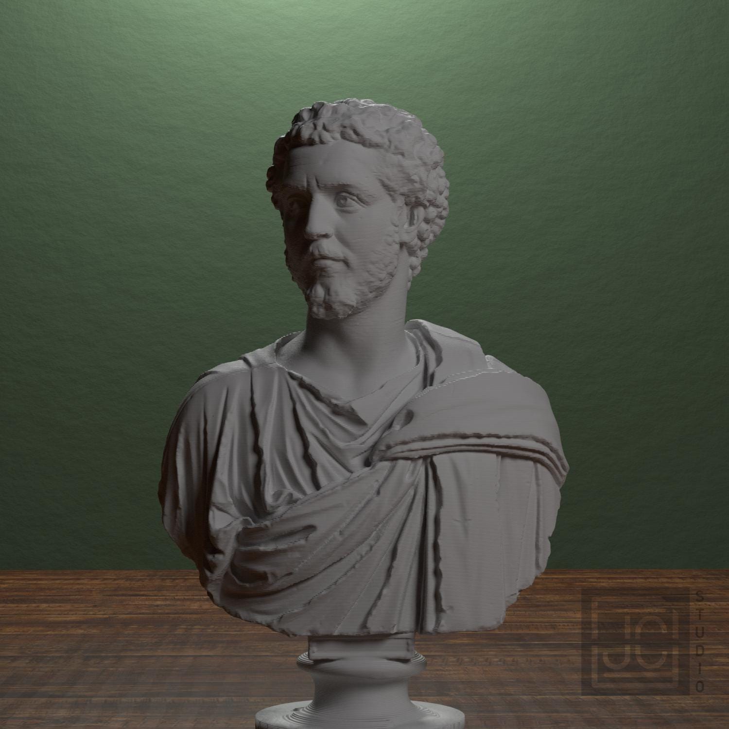 Portrait of a Man (Septimius Severus?) supplemental reference photo 1