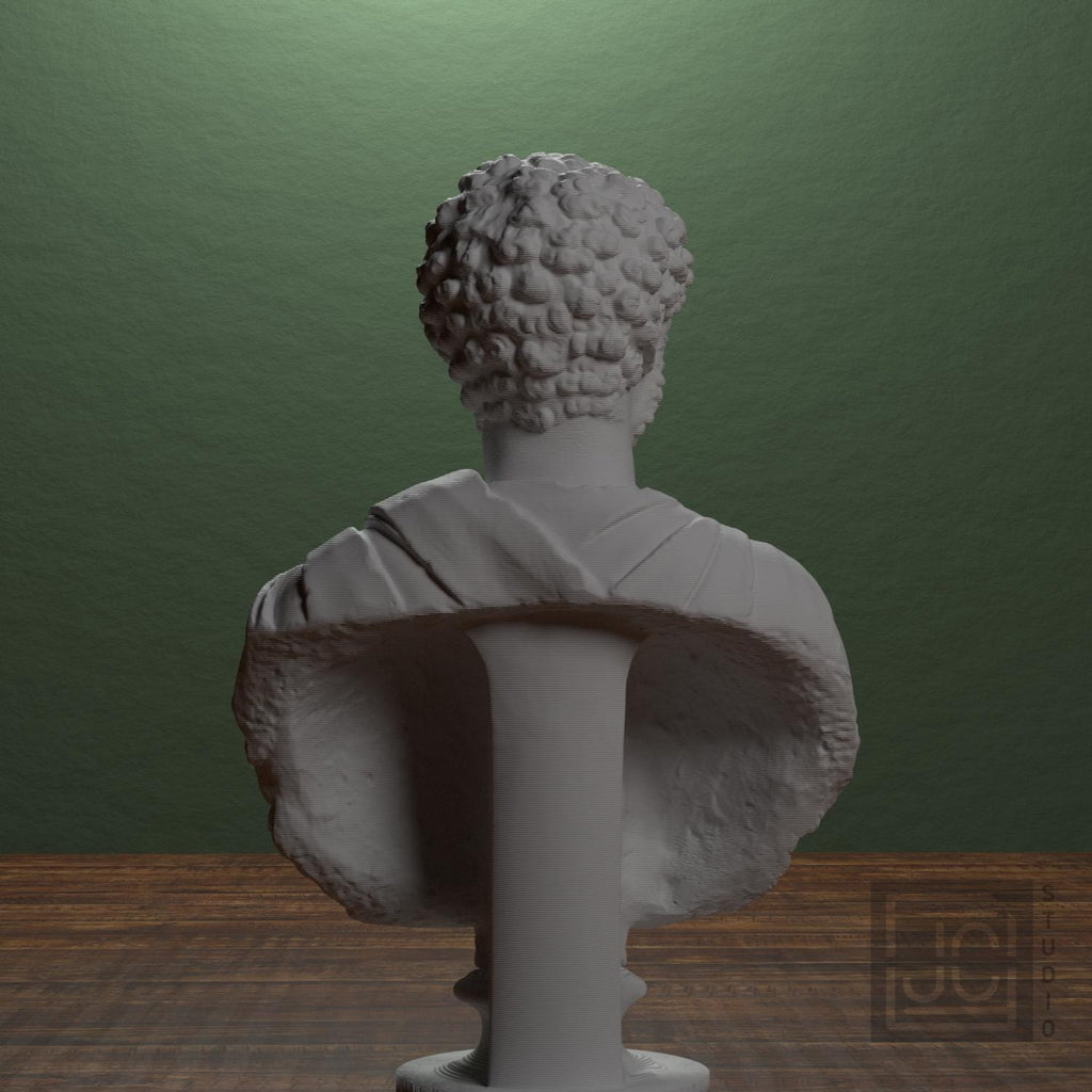 Portrait of a Man (Septimius Severus?) supplemental reference photo 3