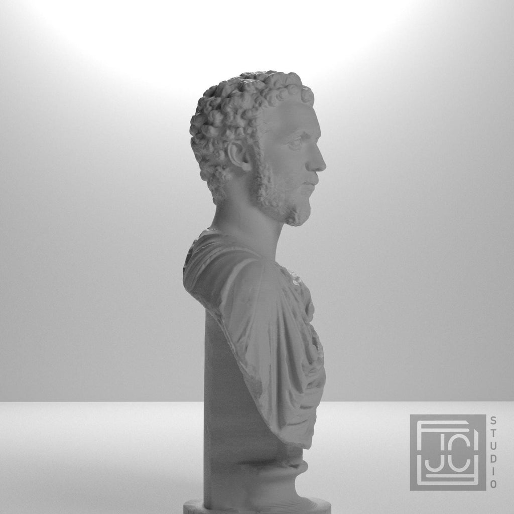 Portrait of a Man (Septimius Severus?) supplemental reference photo 7