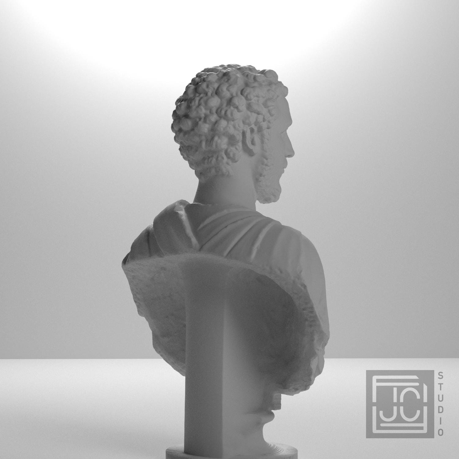 Portrait of a Man (Septimius Severus?) supplemental reference photo 8