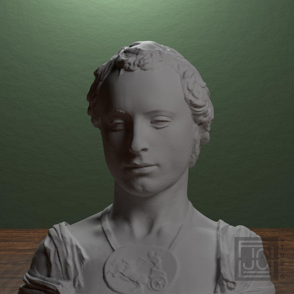 Bust of a Young Man with a Medallion supplemental reference photo 1