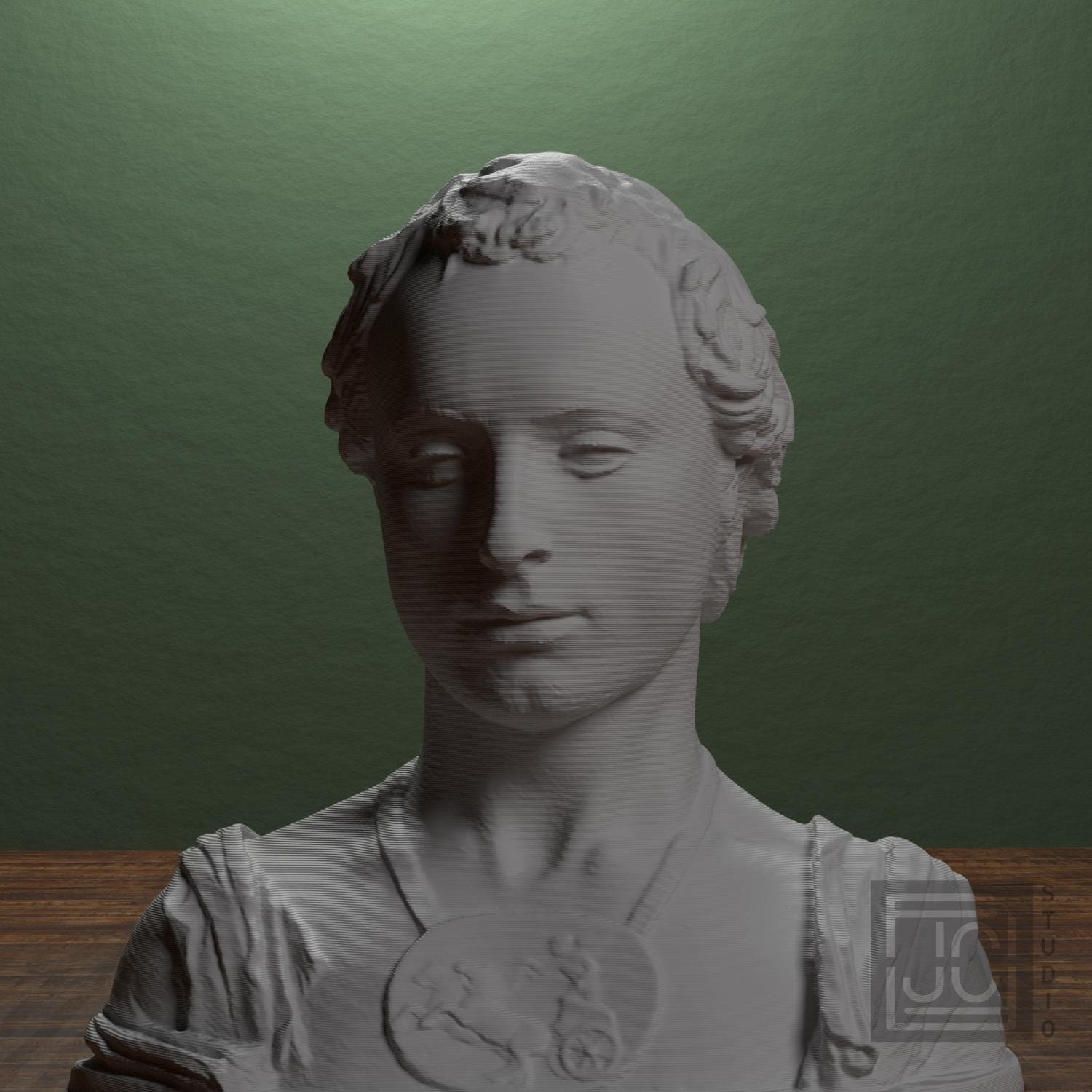 Bust of a Young Man with a Medallion supplemental reference photo 1