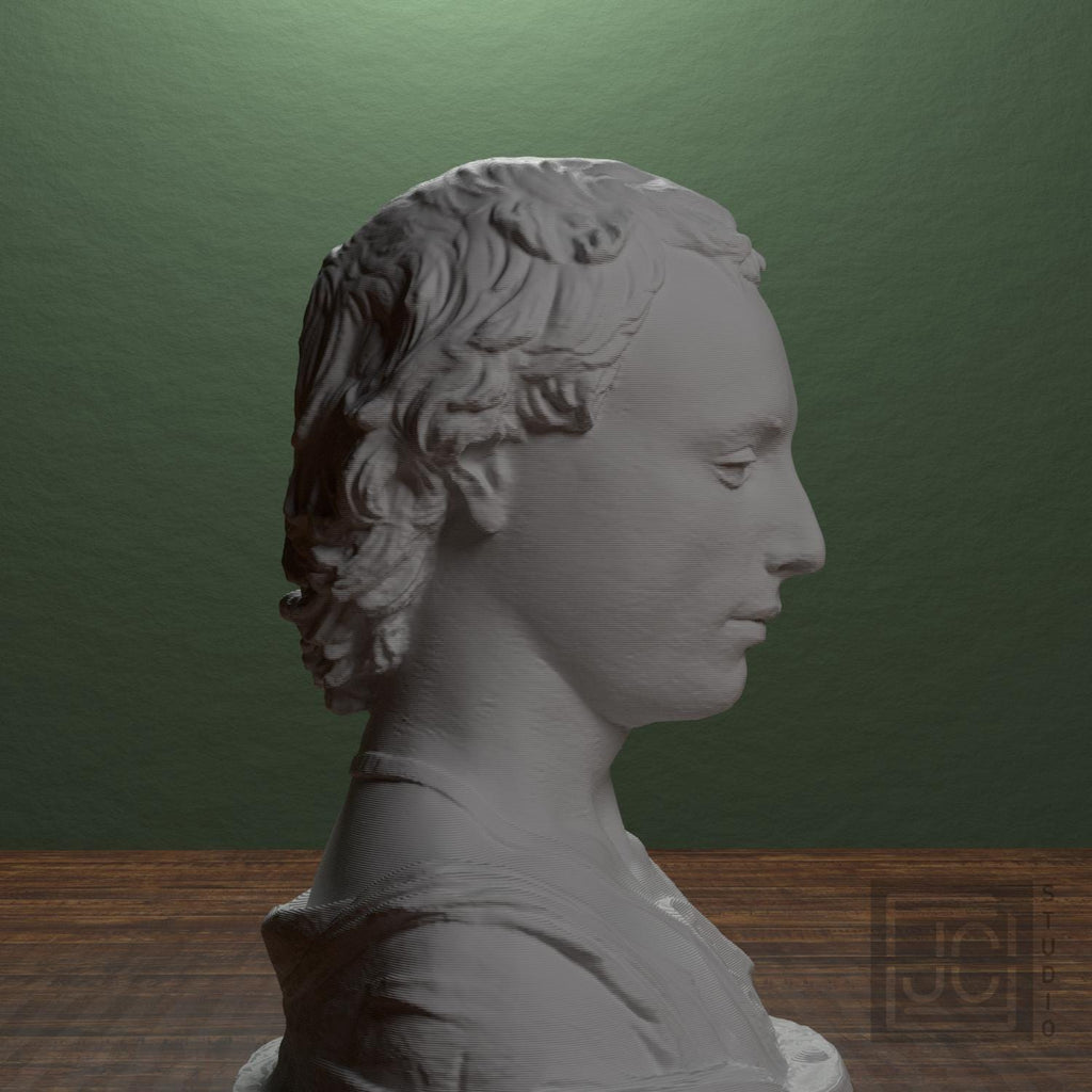 Bust of a Young Man with a Medallion supplemental reference photo 2