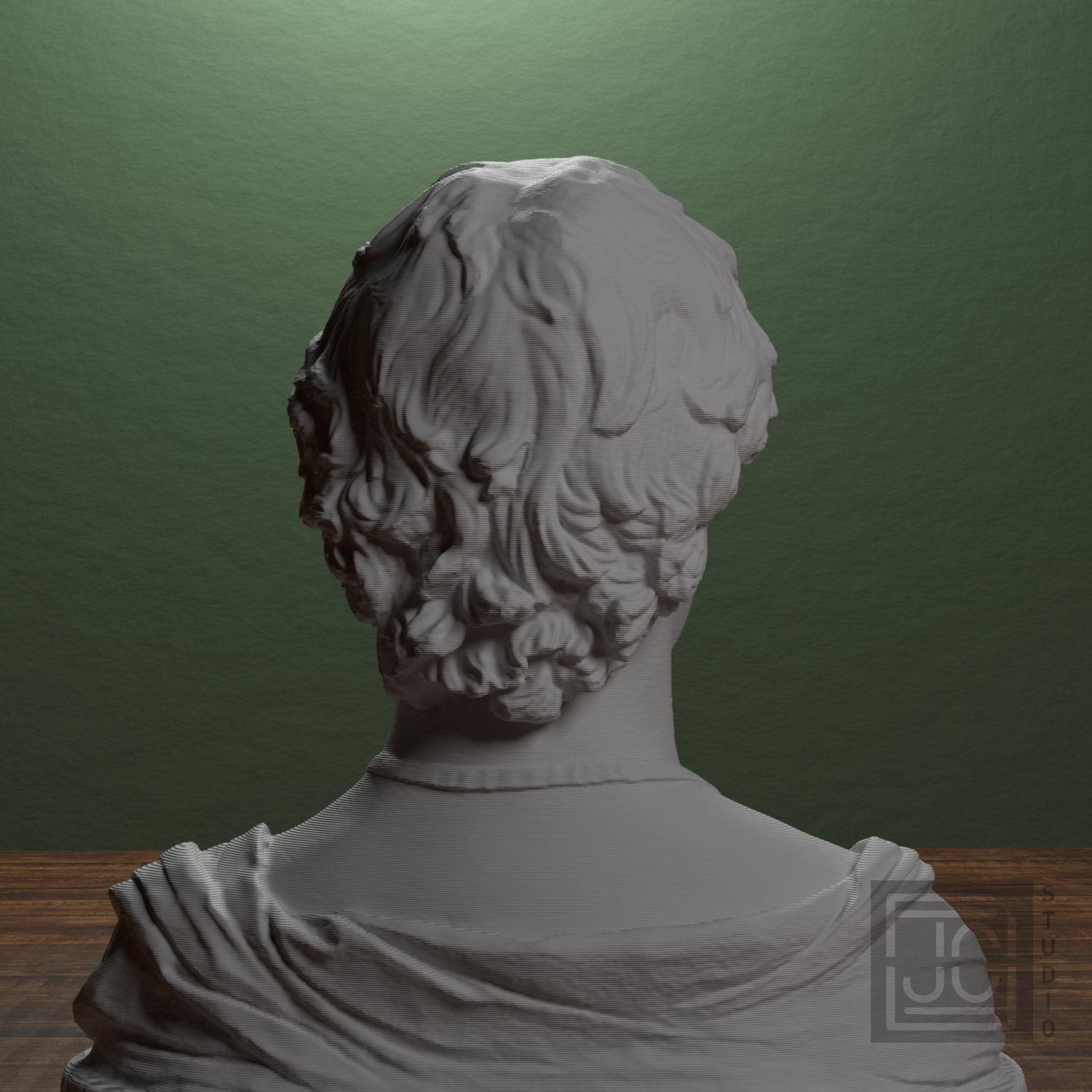 Bust of a Young Man with a Medallion supplemental reference photo 3