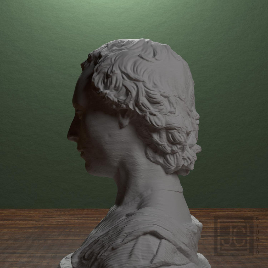 Bust of a Young Man with a Medallion supplemental reference photo 4