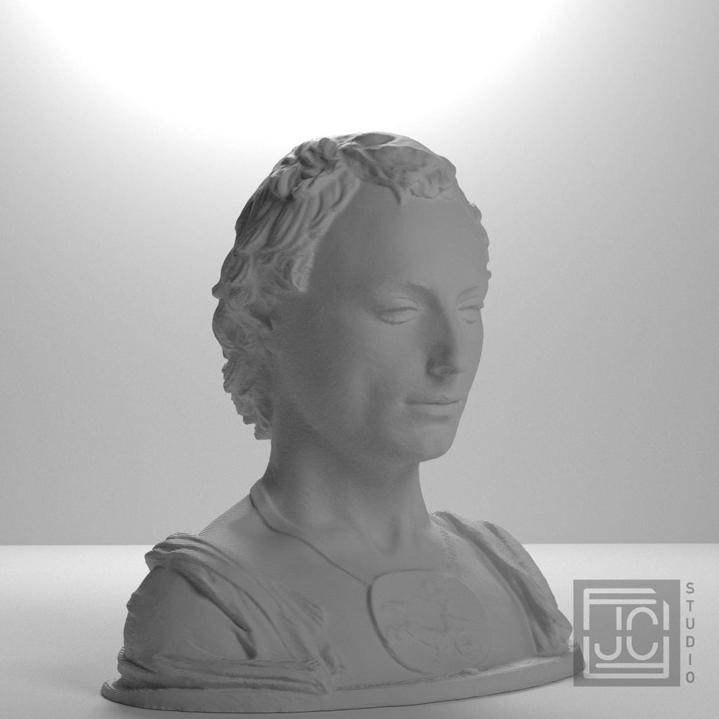 Bust of a Young Man with a Medallion supplemental reference photo 6