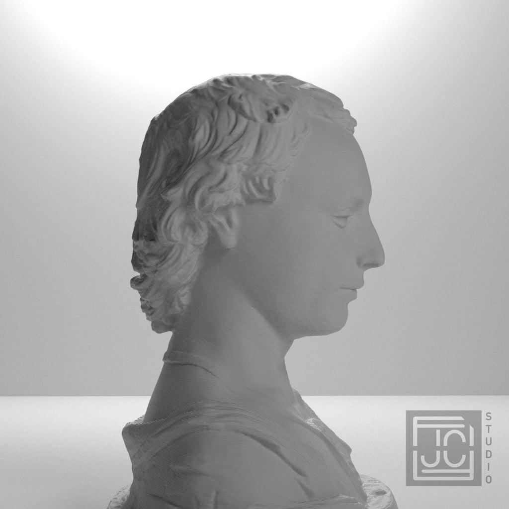 Bust of a Young Man with a Medallion supplemental reference photo 7