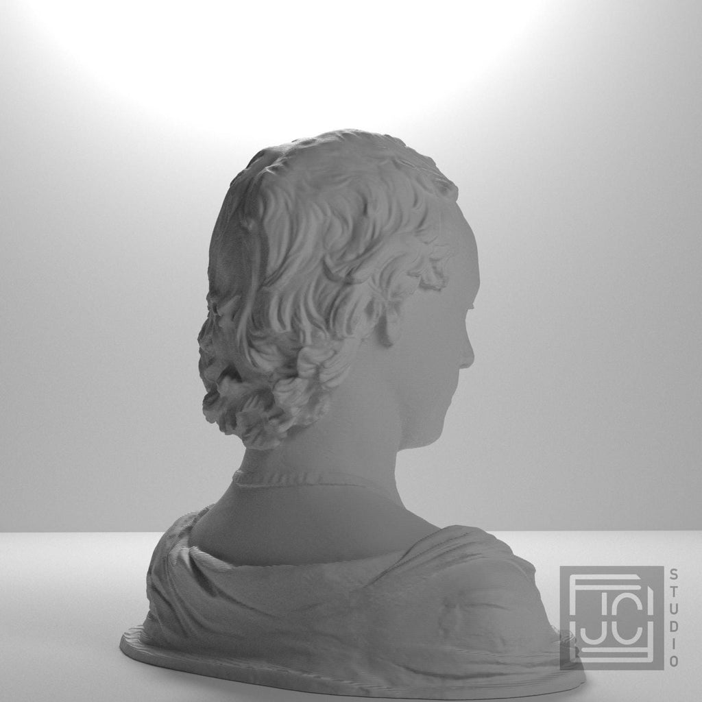 Bust of a Young Man with a Medallion supplemental reference photo 8