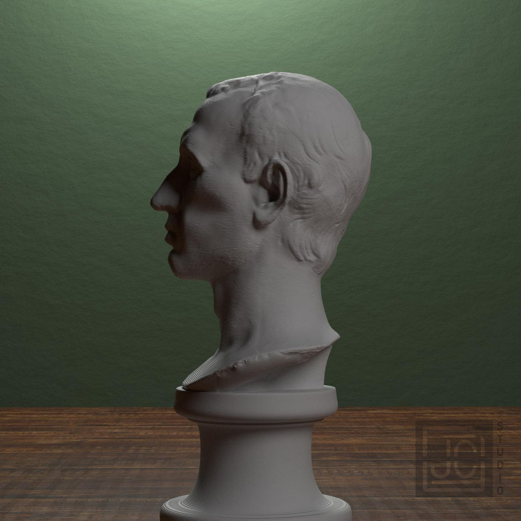 Julius Caesar supplemental reference photo 4