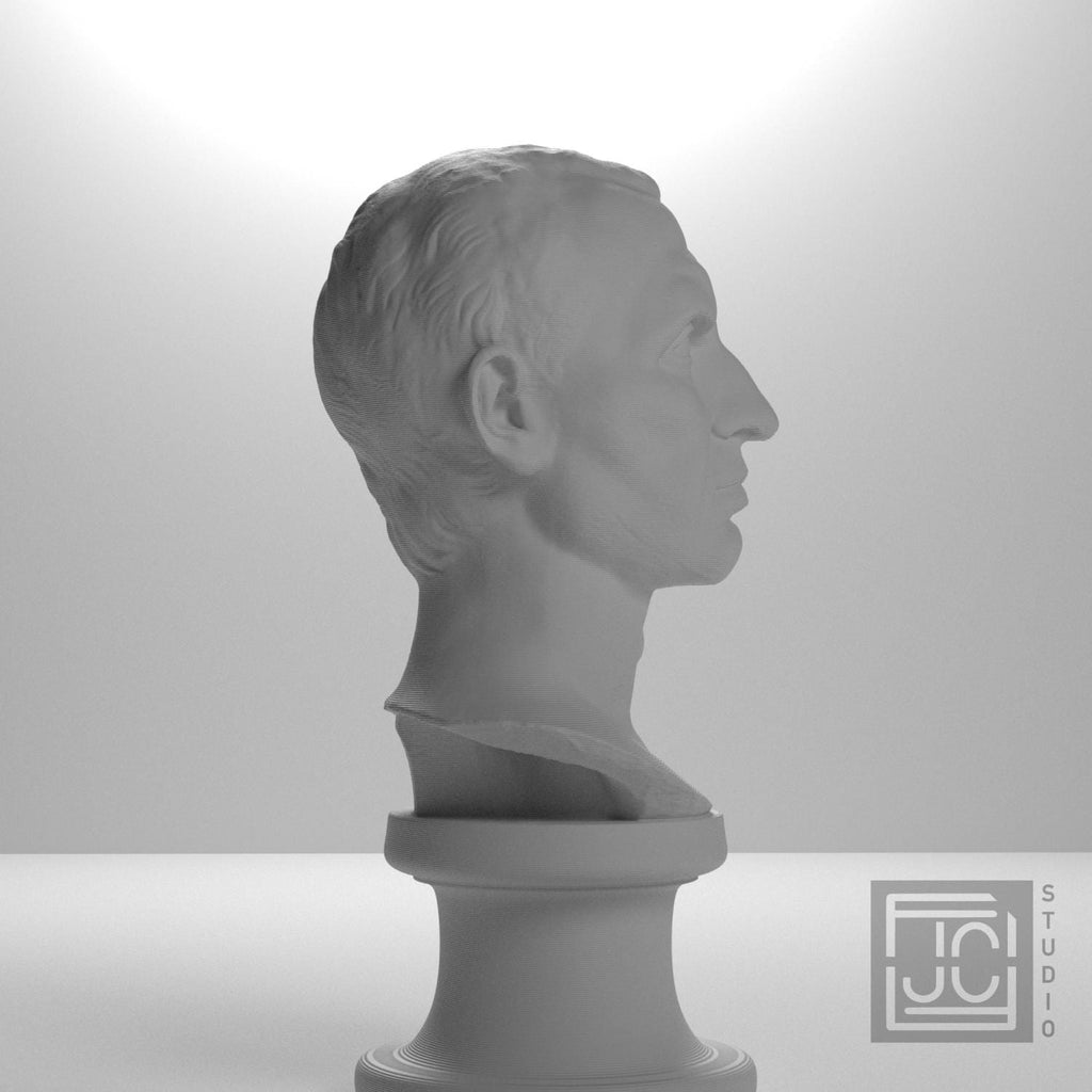 Julius Caesar supplemental reference photo 7