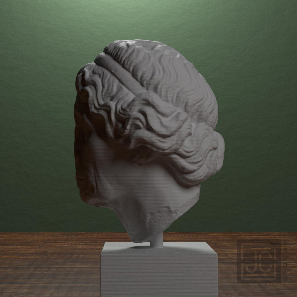 Elderly woman Lysimache supplemental reference photo 4