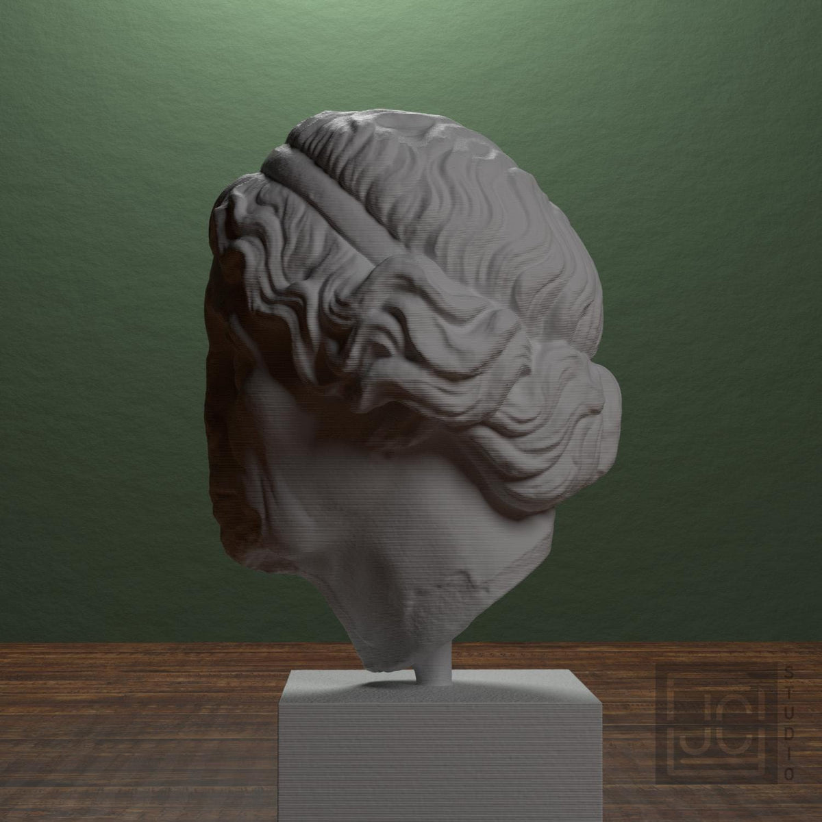 Elderly woman Lysimache supplemental reference photo 4