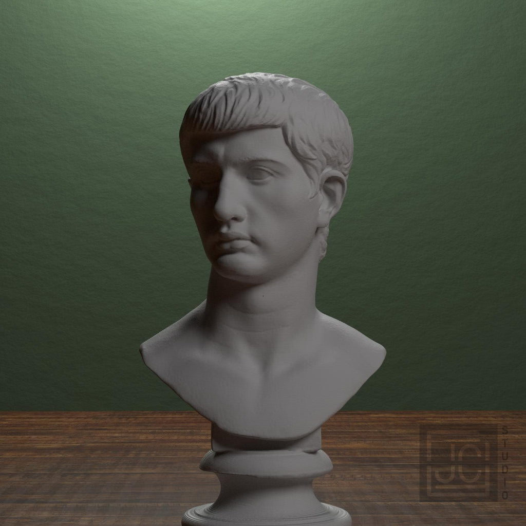 Portrait of an Augustine Prince Marcellus (?) supplemental reference photo 1