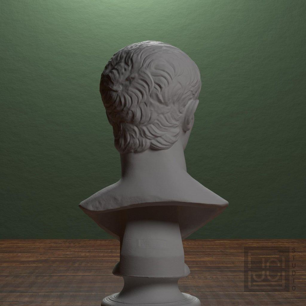 Portrait of an Augustine Prince Marcellus (?) supplemental reference photo 3