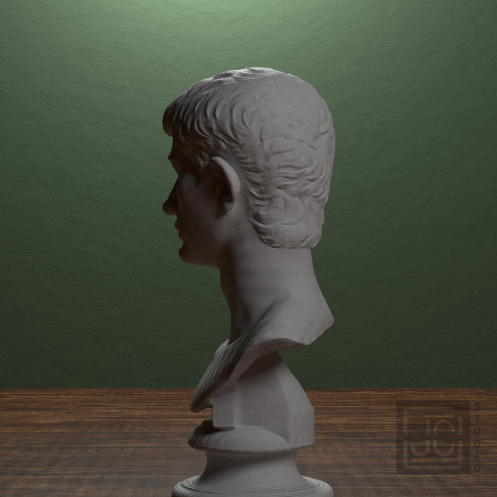 Portrait of an Augustine Prince Marcellus (?) supplemental reference photo 4