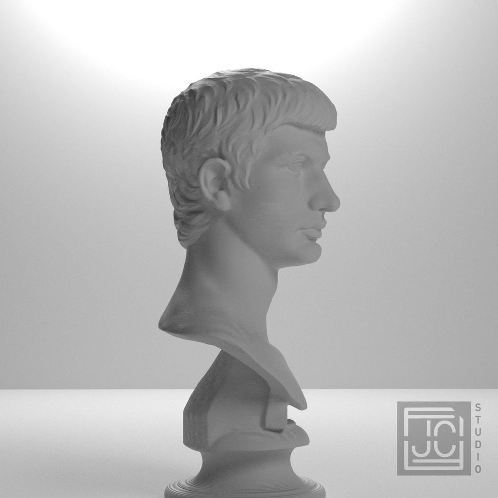 Portrait of an Augustine Prince Marcellus (?) supplemental reference photo 7