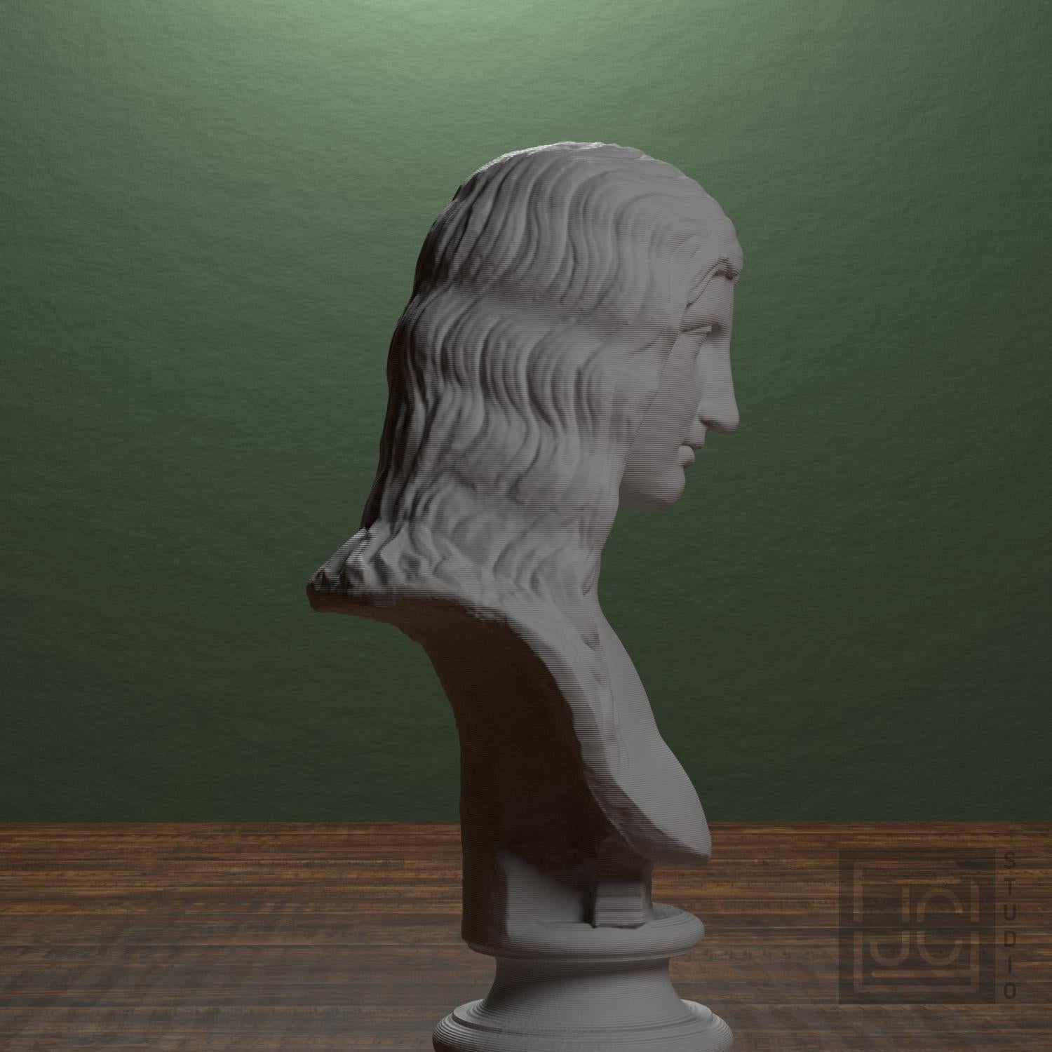 Bust of a Barbarian Woman supplemental reference photo 2