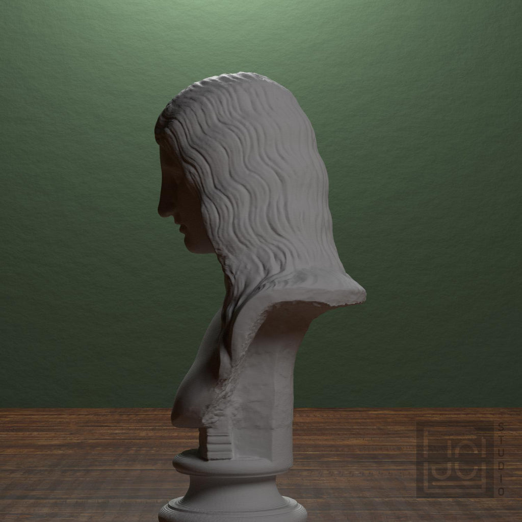 Bust of a Barbarian Woman supplemental reference photo 4