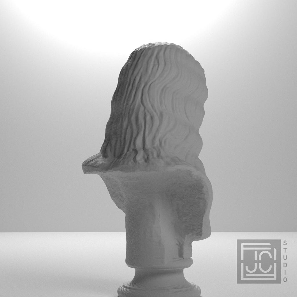 Bust of a Barbarian Woman supplemental reference photo 8