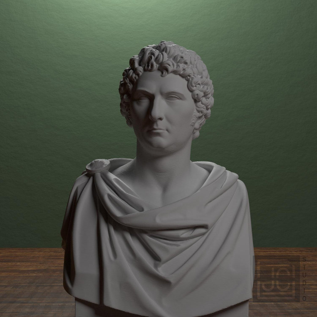 Carl XIV Johan supplemental reference photo 1