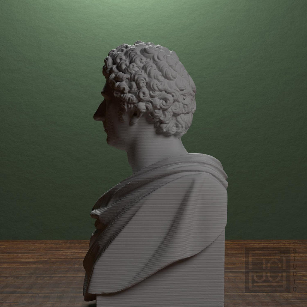 Carl XIV Johan supplemental reference photo 4