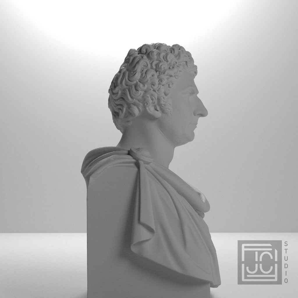 Carl XIV Johan supplemental reference photo 7