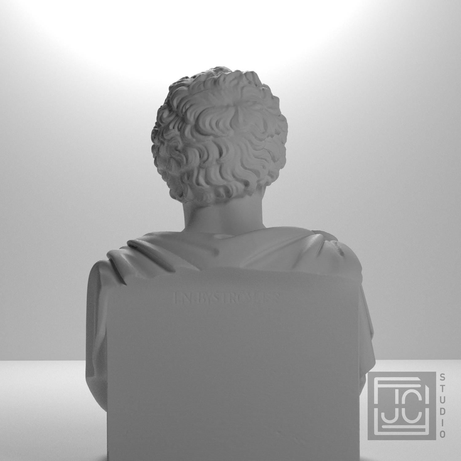 Carl XIV Johan supplemental reference photo 9
