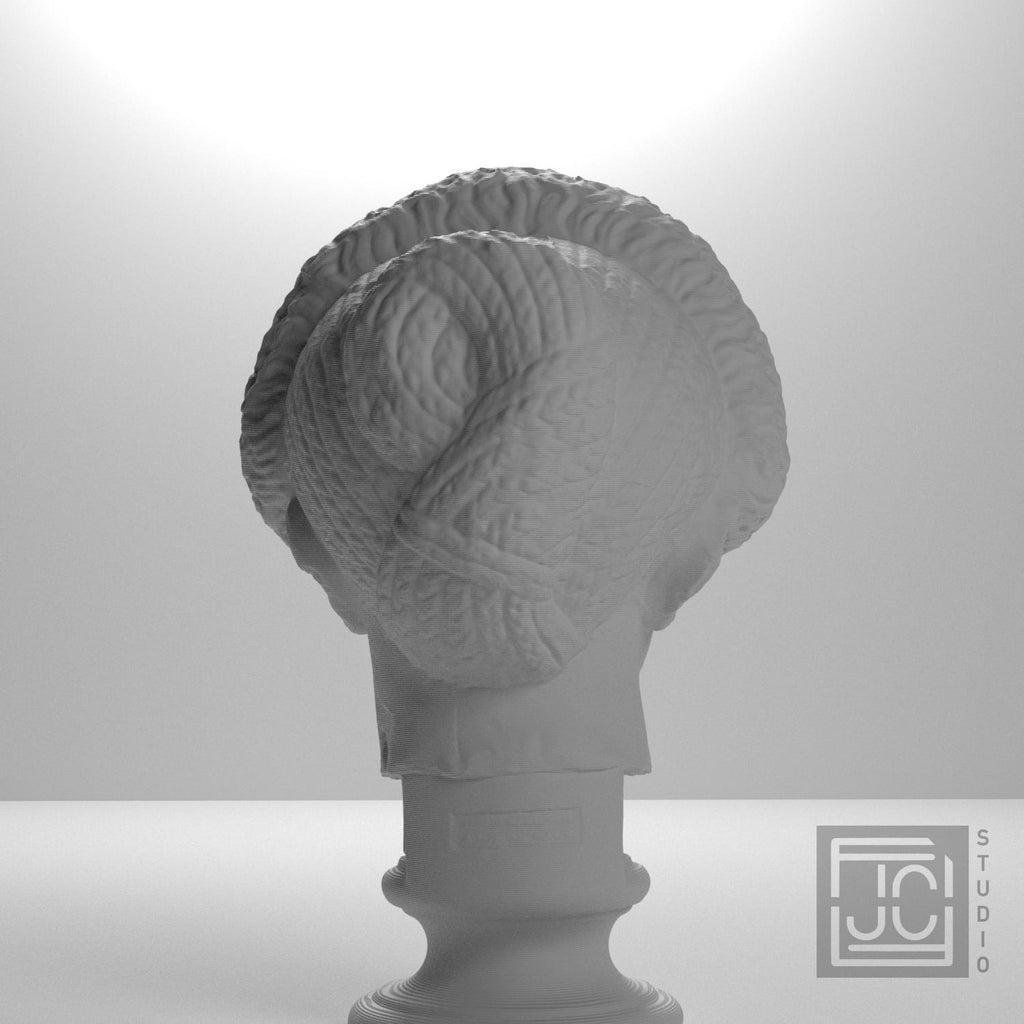 Flavian Woman Young Giulia supplemental reference photo 9