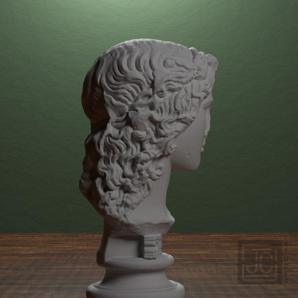 Dionysus supplemental reference photo 2