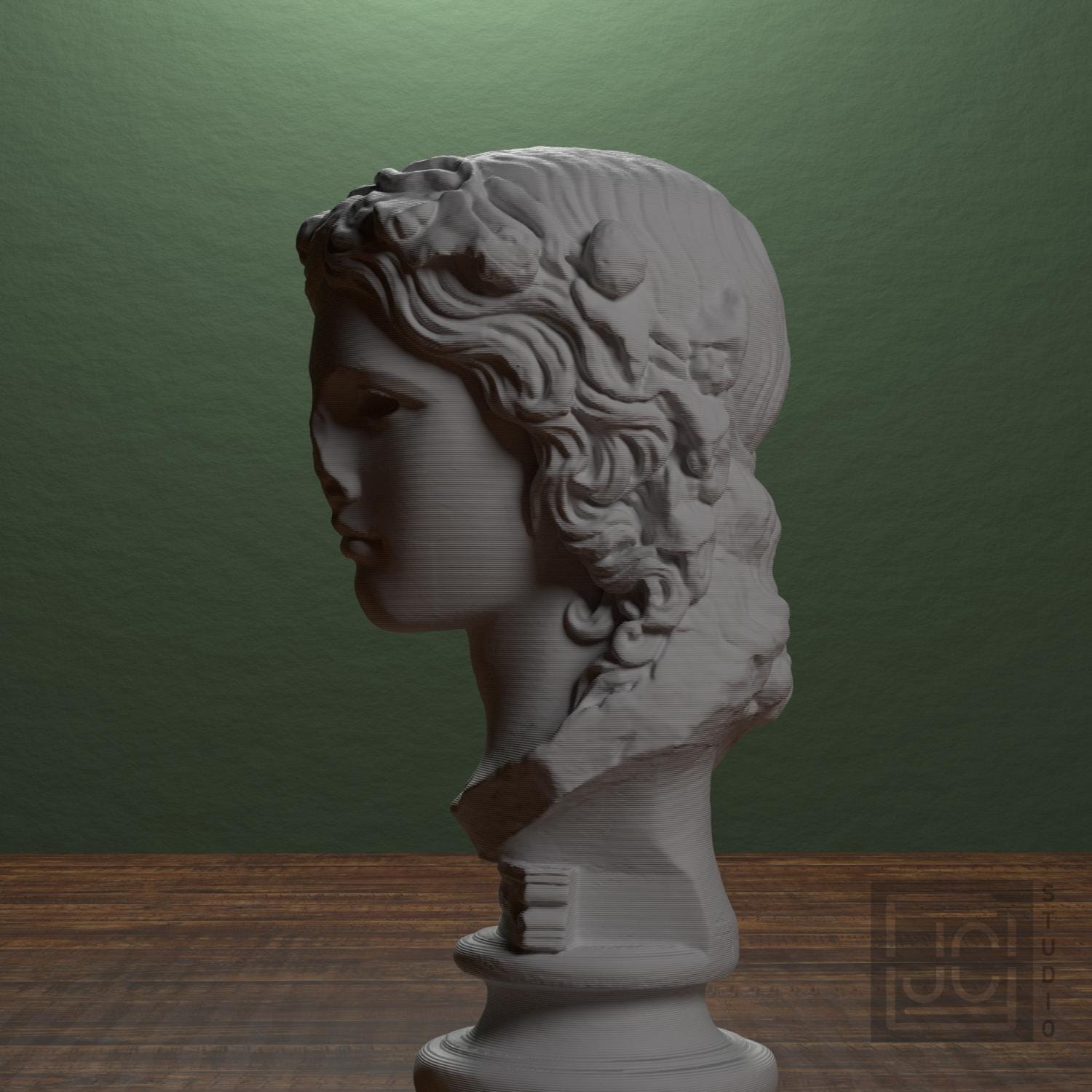 Dionysus supplemental reference photo 4