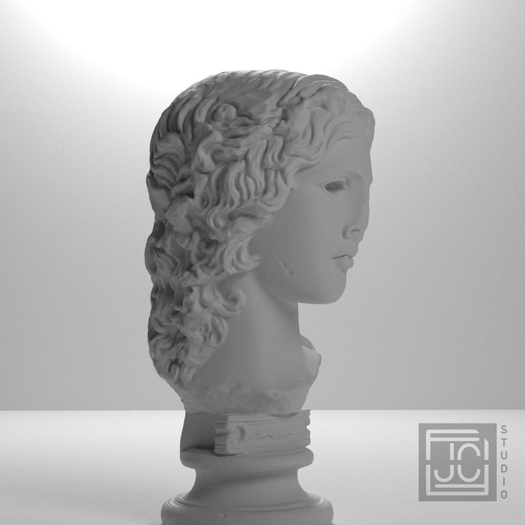 Dionysus supplemental reference photo 6