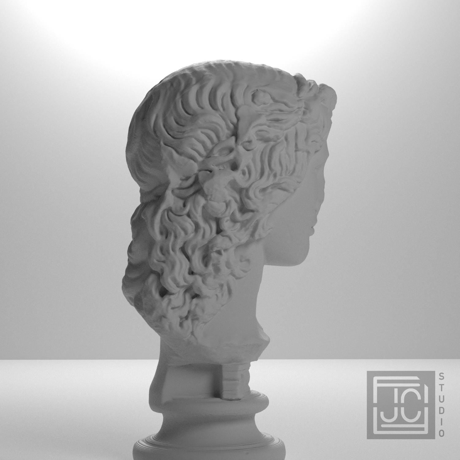 Dionysus supplemental reference photo 7