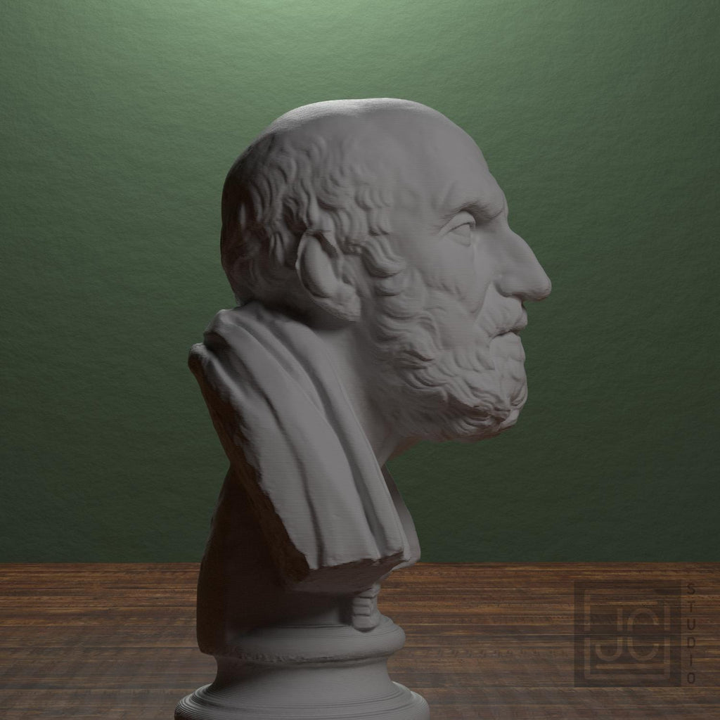 Portrait of Chrysippos supplemental reference photo 2