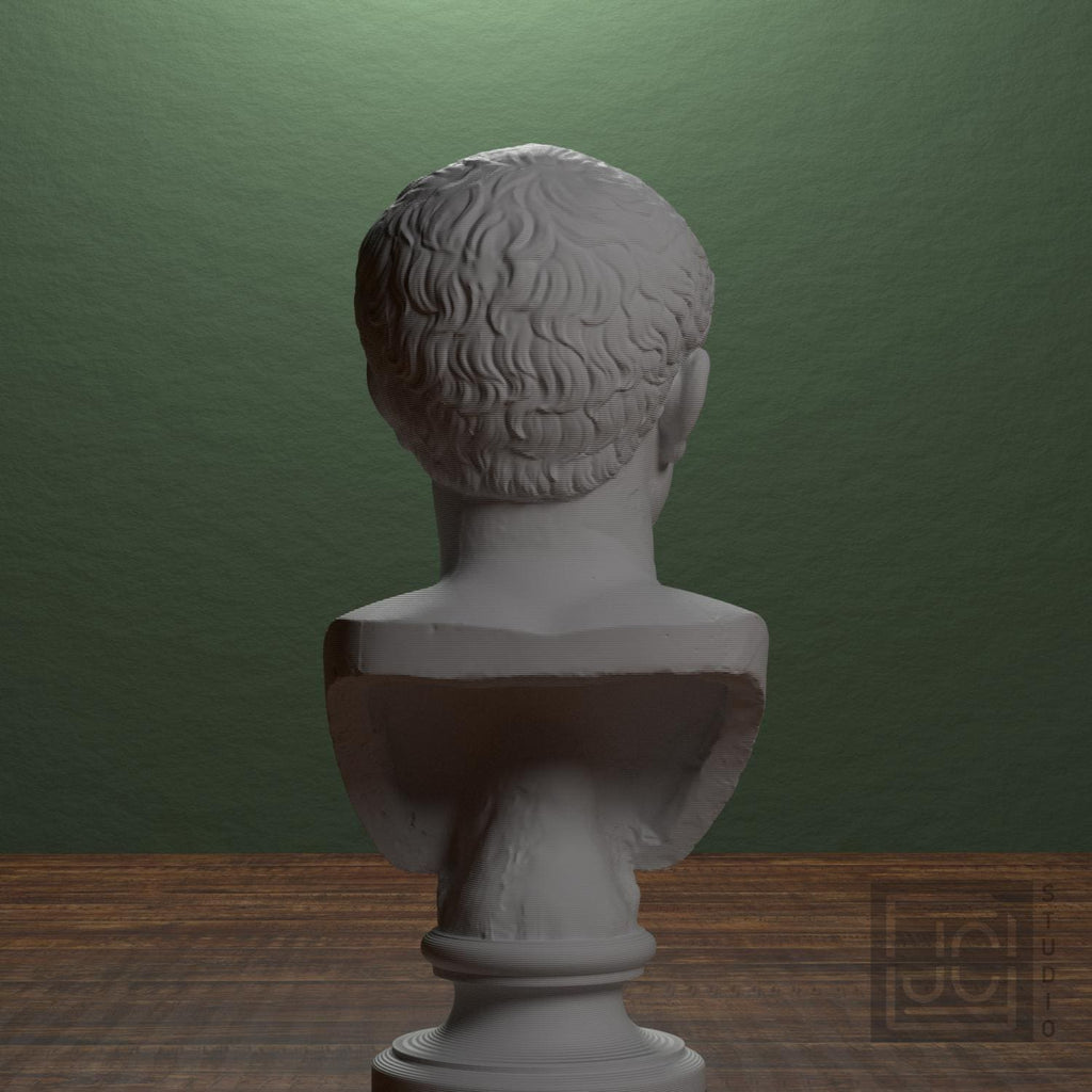 Farnese Caesar supplemental reference photo 3