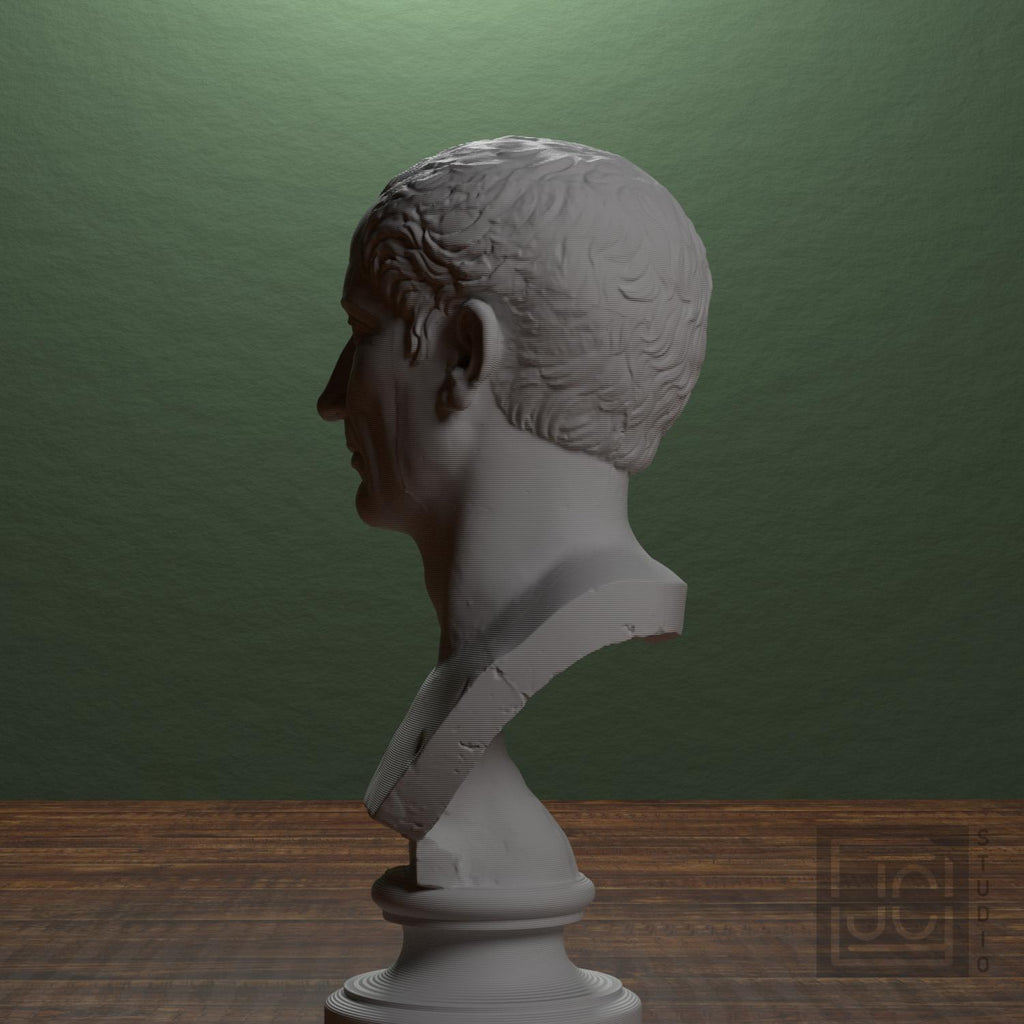 Farnese Caesar supplemental reference photo 4